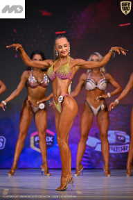 Кубок Ивановской области по бодибилдингу - 2026