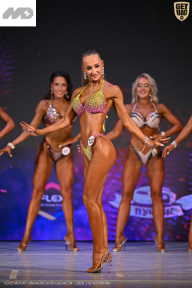 Кубок Ивановской области по бодибилдингу - 2026