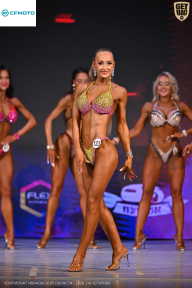 Кубок Ивановской области по бодибилдингу - 2026