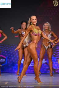 Кубок Ивановской области по бодибилдингу - 2026