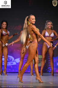 Кубок Ивановской области по бодибилдингу - 2026