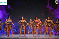 Кубок Ивановской области по бодибилдингу - 2026