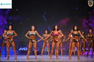 Кубок Ивановской области по бодибилдингу - 2026