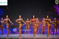 Кубок Ивановской области по бодибилдингу - 2026