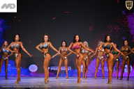 Кубок Ивановской области по бодибилдингу - 2026