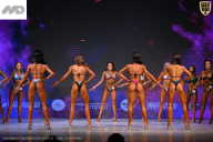 Кубок Ивановской области по бодибилдингу - 2026