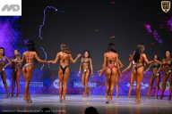 Кубок Ивановской области по бодибилдингу - 2026