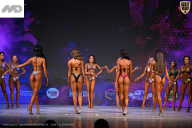 Кубок Ивановской области по бодибилдингу - 2026