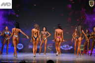 Кубок Ивановской области по бодибилдингу - 2026