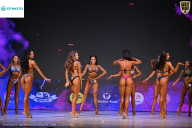 Кубок Ивановской области по бодибилдингу - 2026