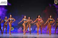 Кубок Ивановской области по бодибилдингу - 2026