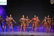 Кубок Ивановской области по бодибилдингу - 2026