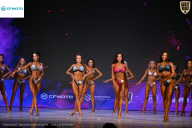 Кубок Ивановской области по бодибилдингу - 2026