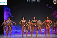 Кубок Ивановской области по бодибилдингу - 2026