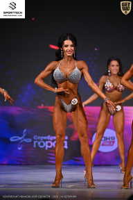 Кубок Ивановской области по бодибилдингу - 2026