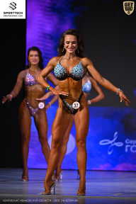 Кубок Ивановской области по бодибилдингу - 2026