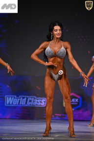 Кубок Ивановской области по бодибилдингу - 2026