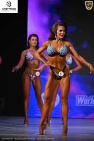 Кубок Ивановской области по бодибилдингу - 2026