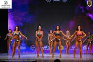 Кубок Ивановской области по бодибилдингу - 2026