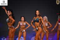 Кубок Ивановской области по бодибилдингу - 2026