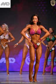 Кубок Ивановской области по бодибилдингу - 2026