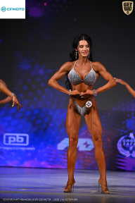 Кубок Ивановской области по бодибилдингу - 2026