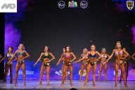 Кубок Ивановской области по бодибилдингу - 2026