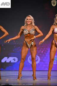 Кубок Ивановской области по бодибилдингу - 2026