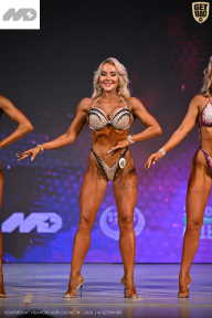 Кубок Ивановской области по бодибилдингу - 2026