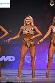 Кубок Ивановской области по бодибилдингу - 2026