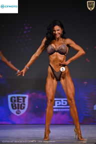 Кубок Ивановской области по бодибилдингу - 2026