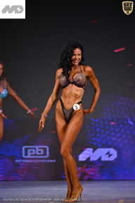 Кубок Ивановской области по бодибилдингу - 2026