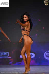 Кубок Ивановской области по бодибилдингу - 2026