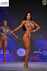 Кубок Ивановской области по бодибилдингу - 2026