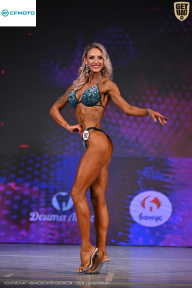 Кубок Ивановской области по бодибилдингу - 2026