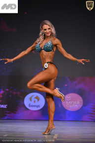 Кубок Ивановской области по бодибилдингу - 2026