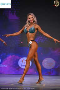 Кубок Ивановской области по бодибилдингу - 2026