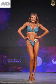 Кубок Ивановской области по бодибилдингу - 2026