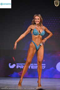 Кубок Ивановской области по бодибилдингу - 2026