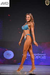 Кубок Ивановской области по бодибилдингу - 2026