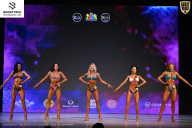 Кубок Ивановской области по бодибилдингу - 2026