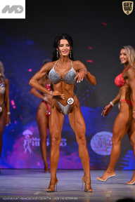 Кубок Ивановской области по бодибилдингу - 2026