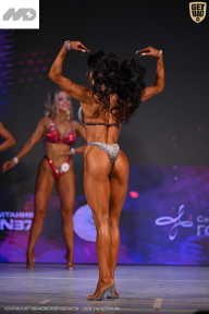 Кубок Ивановской области по бодибилдингу - 2026