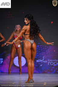 Кубок Ивановской области по бодибилдингу - 2026