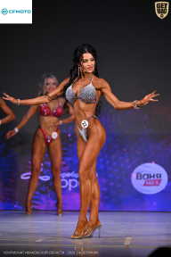 Кубок Ивановской области по бодибилдингу - 2026