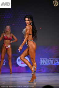 Кубок Ивановской области по бодибилдингу - 2026