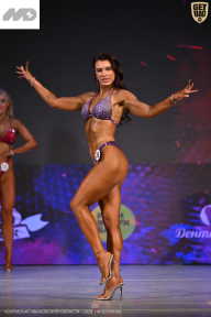 Кубок Ивановской области по бодибилдингу - 2026