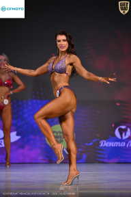 Кубок Ивановской области по бодибилдингу - 2026