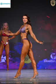 Кубок Ивановской области по бодибилдингу - 2026