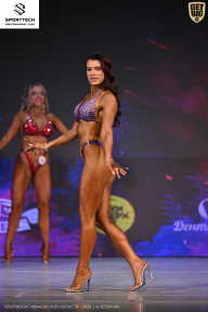 Кубок Ивановской области по бодибилдингу - 2026